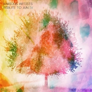 V.A. (TRIBUTE TO JUN/NUJABES) / V.A. (トリビュート・トゥ・ジュン) / TRIBUTE TO JUN IV (BLACK VINYL)