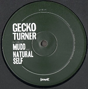 GECKO TURNER / YOU CAN'T OWN ME / WHEN I WOKE UP
