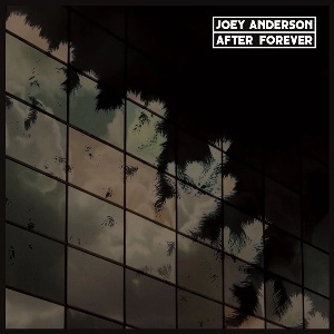 JOEY ANDERSON / ジョイ・アンダーソン / AFTER FOREVER (CD) / AFTER FOREVER