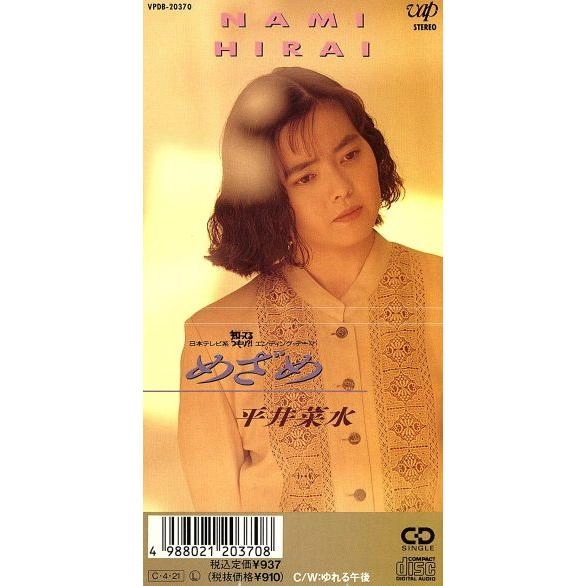 HIRAI NAMI / 平井菜水 商品一覧 | ディスクユニオン・オンラインショップ
