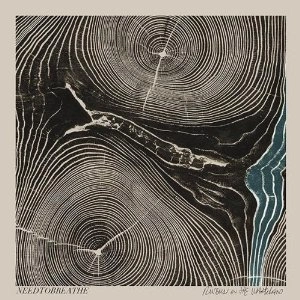 NEEDTOBREATHE / ニードトゥブリーズ / RIVERS IN THE WASTELAND