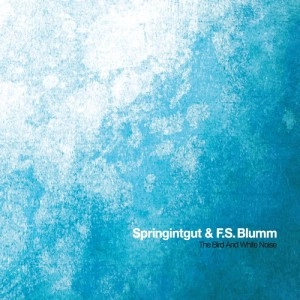 SPRINGINTGUT & F.S.BLUMM / バードアンドホワイトノイズ / BIRD AND WHITE NOISE