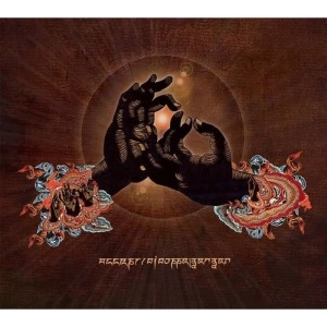 DJ DOPPELGENGER / アクセプト / ACCEPT