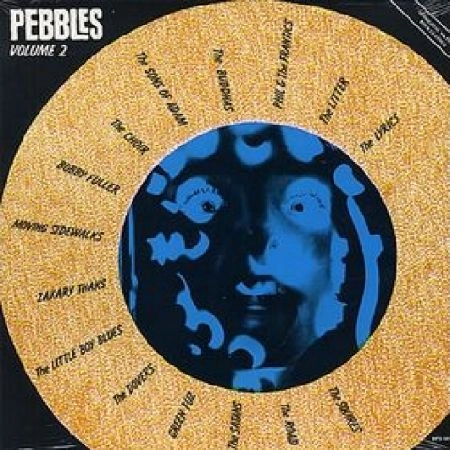 V.A. (GARAGE) / PEBBLES VOL. 2 VARIOUS HOOLIGANS
