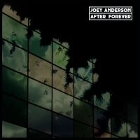 JOEY ANDERSON / ジョイ・アンダーソン / AFTER FOREVER (LP) / AFTER FOREVER