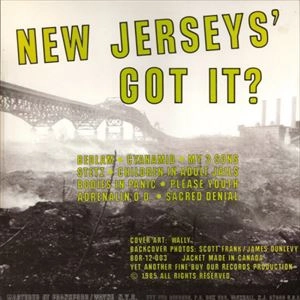 V.A. / オムニバス / NEW JERSEYS' GOT IT