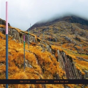 SECTION 25 / セクション25 / FROM THE HIP