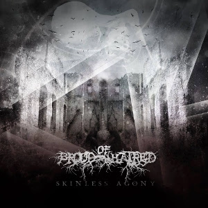 BROOD OF HATRED / SKINLESS AGONY