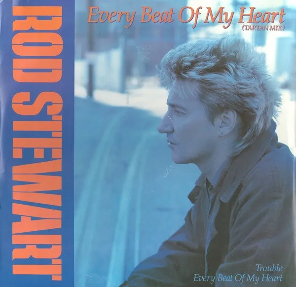 ROD STEWART / ロッド・スチュワート / EVERY BEAT OF MY HEART