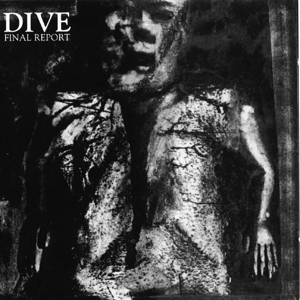 DIVE (EBM) / ダイヴ (EBM) / FINAL REPORT