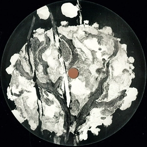 TERRENCE PARKER & SIMON HINTER / SHIFT 004