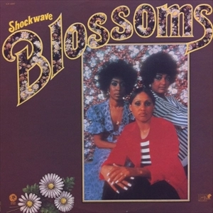 BLOSSOMS / ブロッサムズ (SOUL) / ショックウェイヴ