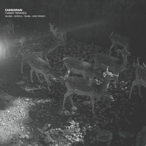 CASSEGRAIN / TIAMAT RMXS