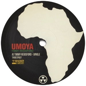 TIMMY REGISFORD / ティミー・レジスフォード / JUNGLE MAN/CATCH ME