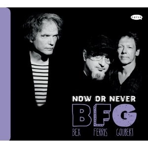 BFG(EMMANUEL BEX,GLENN FERRIS,SIMON GOUBERT) / Now Or Never 