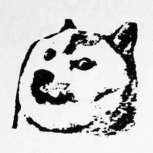 UNKNOWN ARTIST / DOGE001