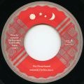 AMAMI & THE WAREIKERS / アマミアンドザワレイカーズ / DAYDRUMSOUND / Day Drum Sound