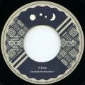 AMAMI & THE WAREIKERS / アマミアンドザワレイカーズ / N.TRAIN
