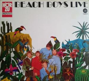 BEACH BOYS / ビーチ・ボーイズ / LIVE