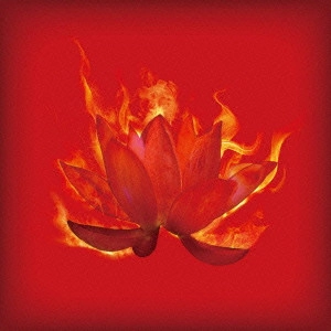 DAWES / 紅蓮