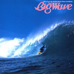 TATSURO YAMASHITA / 山下達郎 / BIG WAVE (30TH ANNIVERSARY EDITION) / ビッグ・ウェイブ(30th Anniversary Edition)