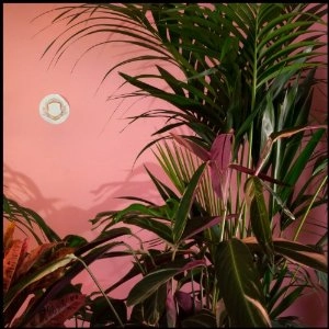 BEATY HEART / ビーティ・ハート / MIXED BLESSINGS <LP>