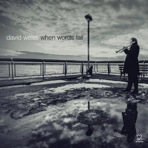 DAVID WEISS / デヴィッド・ヴァイス / WHEN WORLDS FAIL