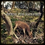 elk / ＳＥＥＤＳ　ＦＯＲ　ＨＡＲＶＥＳＴ
