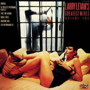 LARRY LEVAN / ラリー・レヴァン / グレイテスト・ミキシーズ VO.2
