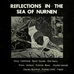 DOUG HAMMOND / ダグ・ハモンド / REFLECTIONS IN THE SEA OF NURNEN