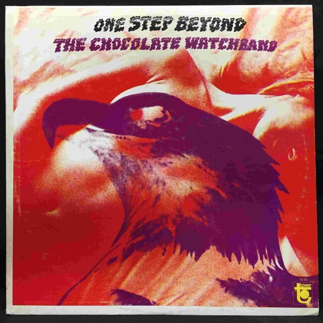 CHOCOLATE WATCHBAND / チョコレート・ウォッチバンド / ONE STEP BEYOND