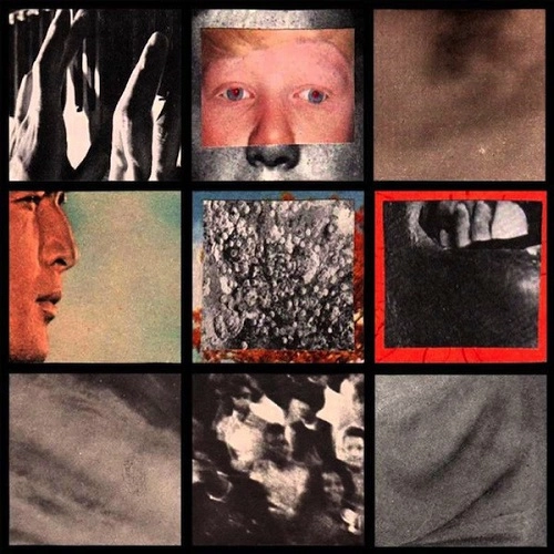 SFN : IN DISGUST / SPLIT (7")