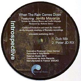 INTROSPECTIVE/ROBERTO BOSCO / WHEN THE RAIN COMES DOWN