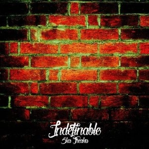 SKA FREAKS / インディファイナブル / Indefinable