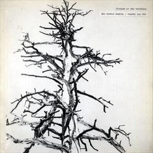 GUNTER HAMPEL / ギュンター・ハンペル / FREEDOM OF THE UNIVERSE