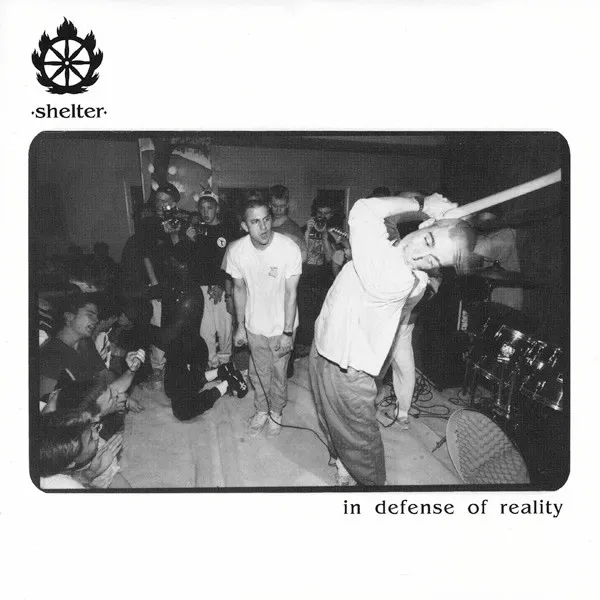 SHELTER / NEWS