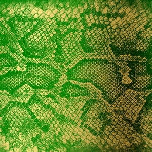 ZACKEY FORCE FUNK / ザッキー・フォース・ファンク / MONEY GREEN VIPER