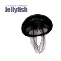 MUSHROOM'S PATIENCE / JELLYFISH 