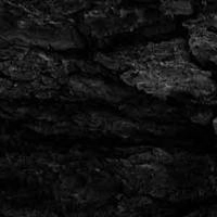 OCTOBER FALLS / KAARNA<DIGI>