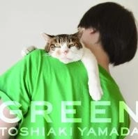 TOSHIAKI YAMADA / 山田稔明 / 緑の時代