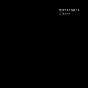 V.A.(POLAR INERTIA,BLEACHING AGENT,IORI...)  / FIELD RECORDS - COLLECTION