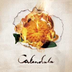 a crowd of rebellion / Calendula