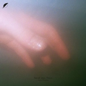 SEAN PINEIRO  / SAVED ONCE TWICE