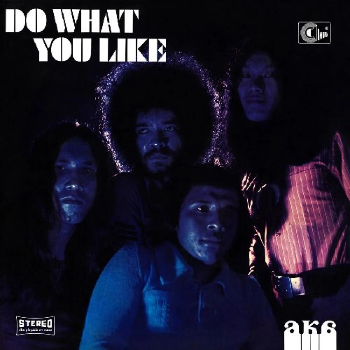 AKA / DO WHAT YOU LIKE