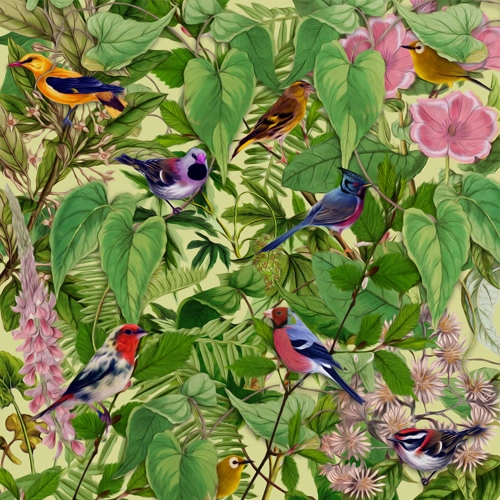 MARK BARROTT / マーク・バロット / SKETCHES FROM AN ISLAND