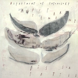 TEUN VERBRUGGEN / DEPARTMENT OF ENTOMOLOGY