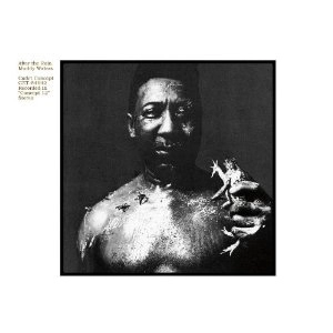 MUDDY WATERS / マディ・ウォーターズ / アフター･ザ･レイン / AFTER THE RAIN