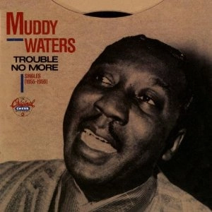 MUDDY WATERS / マディ・ウォーターズ / トラブル･ノー･モア～シングルズ 1955-1959 +2 / TROUBLE NO MORE-SINGLES 1955-1959