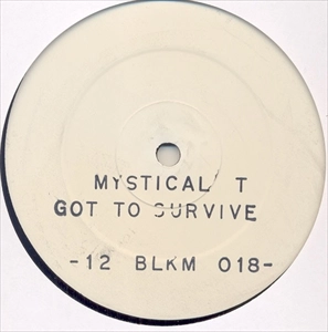 MYSTICAL T. / GOT TO SURVIVE