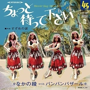 AYA NAKANO / なかの綾 / ちょっと待って下さい